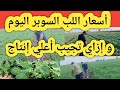 أسعار اللب السوبر اليوم وكيفية الحصول علي أعلي إنتاج من الفدان الواحد