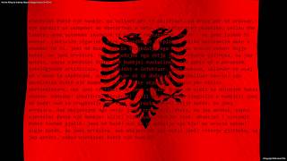 We Are Killing Us - Albanian Seagull Version S+HE #1 screenshot 4