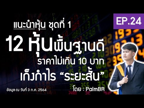 EP.24 |  12 หุ้นพื้นฐานดี ราคาไม่เกิน 10 บาท แนะนำหุ้นชุดแรก แนะนำ PalmBR