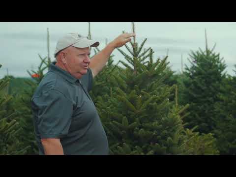 Appalachian Christmas Mountain: CFC Is for Farmers