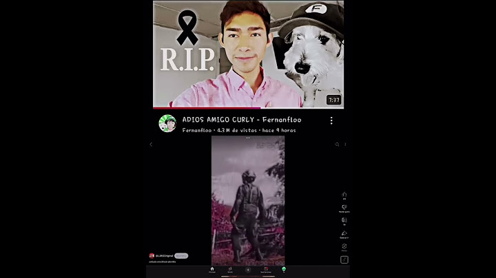 Adiós amigo curly 🫡🫡🫡 #curly #fernanfloo #triste