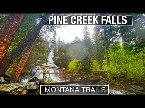 Rainy Hike to Pine Creek Falls in Montana's Paradise Valley - 4k Treadmill Travel with City Walks