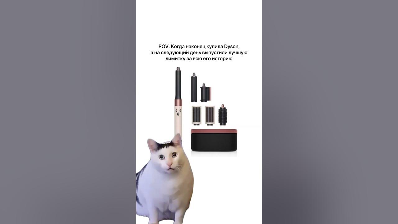 Дайсон и кот #shots #юмор #казань #кот #дайсон #dyson #iphone15 # ...