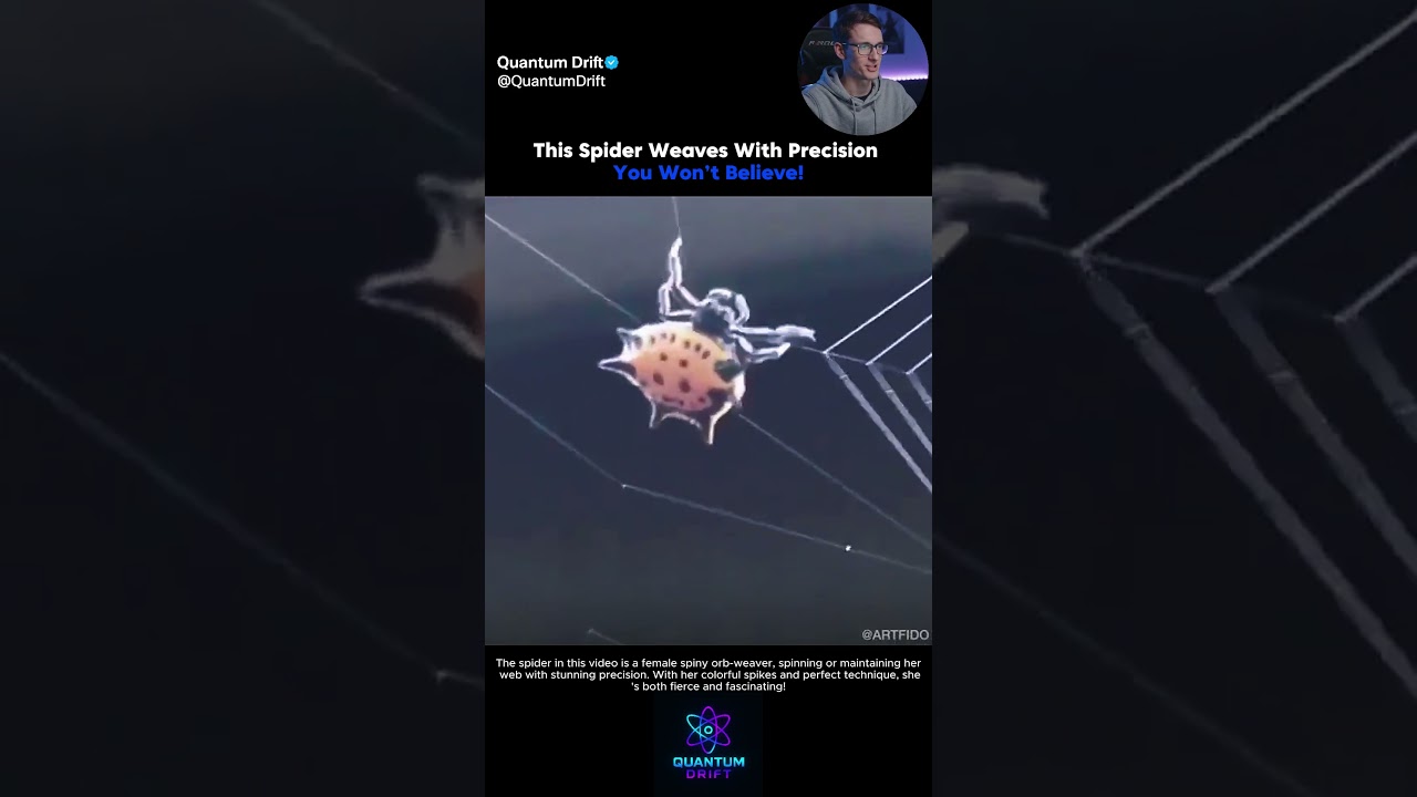 This Spiky Spider Spins a Perfect Web! 