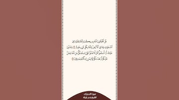 تلاوة في دقيقة سورة الحجرات الآيات ١٦ إلى ١٧ الشيخ بندر بليلة