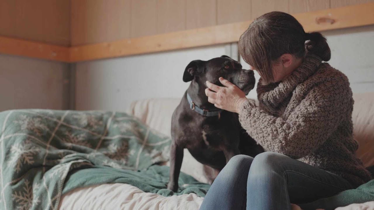 Animal Rescue Reimagined