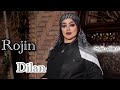 روژین دیلان هنرمند