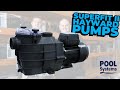 Introducing the Hayward Superfit II Pump