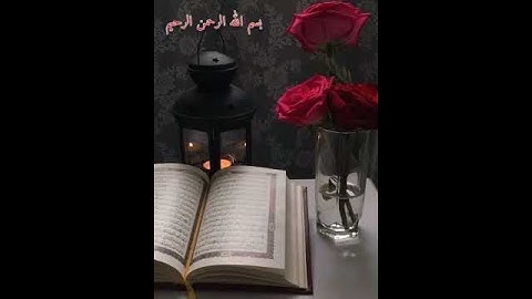 سورة الكافرون بصوت الشيخ شيرزاد عبد الرحمن