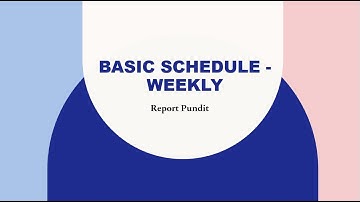 Report Pundit Basic schedule - Weekly