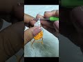 Esta hermosa margarita a crochet ya está recibiendo muchísimo cariño en el canal.