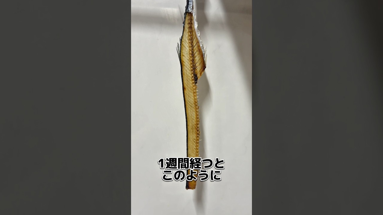 秋刀魚で作る最高のつまみ！骨せんべいを作ります！10/2投稿 #せり人ムタロー #料理 #海鮮好き #料理 #shorts
