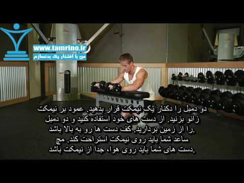آموزش ساعد دمبل روی نیمکت کف دست رو به بالا