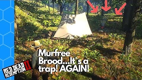 DO NOT FALL FOR THIS TRAP! Red Dead Redemption 2 Random Encounters
