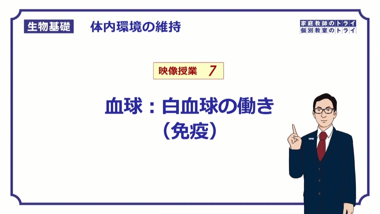 生物基礎 体内環境の維持7 血球 白血球の働き 免疫 １０分 Youtube