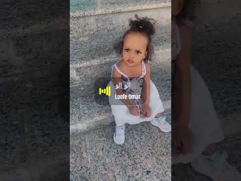 فراشة البيت ربي يحفظها ترند 