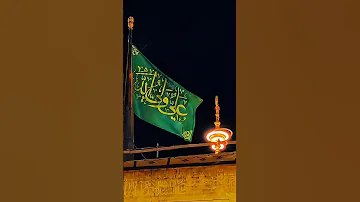 امير الحب علي ما غاب ذكرك في فمي ستوريات حسينيه الامام علي ع لايك Funny دعاء Duaa 25 