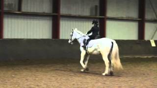 Dressuurproef Sara De Jong