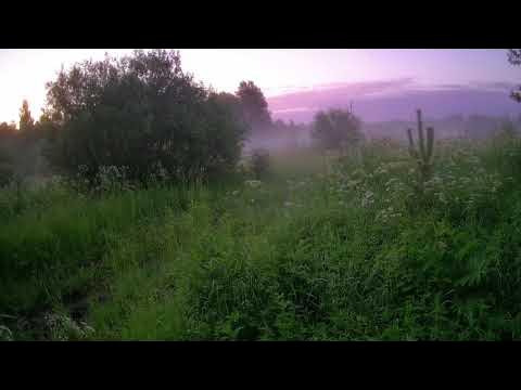 Утренний ветерок разогнал туман. Остров закрывал утренний густой туман. Утренний туман. Утренний ветерок разогнал туман. Утренний ветерок разогнал туман.