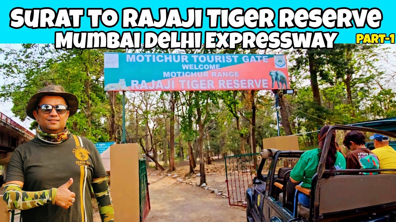 Rajaji National Park | Surat to Rajaji Tiger Reserve | Delhi Mumbai Expressway #wildlife #tiger P-1