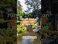 Tempat Makan Vibes Asri dan Ijo Royo-Royo di Kota Semarang #shortsviral #viralvideo