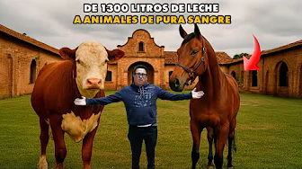 LA HACIENDA DE LOS MILLONES: DONDE CRÍAN CABALLOS CAMPEONES I GEOLEMA