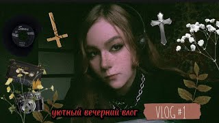 Уютный Вечерний Влог 🎧🚬🕸🕷+Показываю Свои Новые Вещи