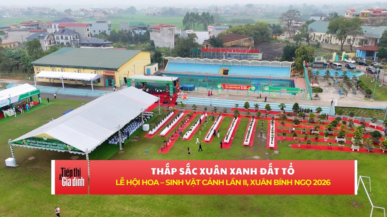 Thắp sắc xuân xanh đất Tổ với Lễ hội Hoa – Sinh vật cảnh lần II, Xuân Bính Ngọ 2026