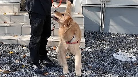 予告【切り抜き】あれから１年５ヶ月いよいよ今日デビューします！