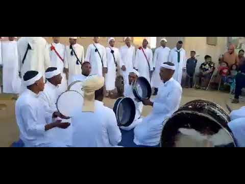 فرقة أحواش شركاوة بالسمارة في حفل زفاف بمخيم الوحدة الربيب