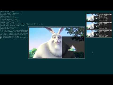 Desktop notifications for mpv player with duration and playhead position