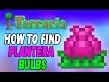 Terraria How To Find Plantera39s Bulb Easy Fast Tutorial