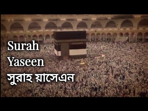 surah-yaseen-|-সুরাহ-য়াসেএন-|-sheikh-abdur-rahman-al-sudais-|-imam-of-makkah