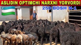: ASLIDINGA BARA QOZIDAN 150 KG QOCHQORLAR KELDI 7 PARTIYA