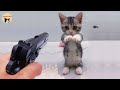 Cute Animals - OMG So Cute ♥ Funny Cats and Dogs 2021