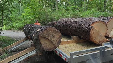 Loading Logs on New Trailer