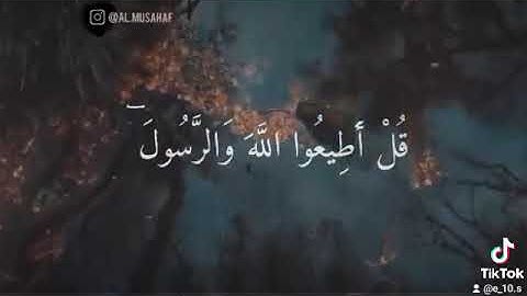 #تلاوة_خاشعة_مؤثرة_تلاوة_القرآن_الكريم_ (قل إن كنتم تحبون الله فاتبعوني) القارئ/ اسلام صبحي.. 💛✨.