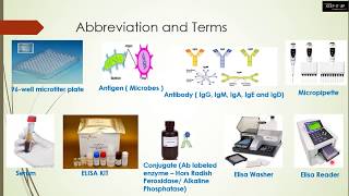 ELISA (Detection of Antibodies) - الإليزا: الكشف عن الأجسام المضادة