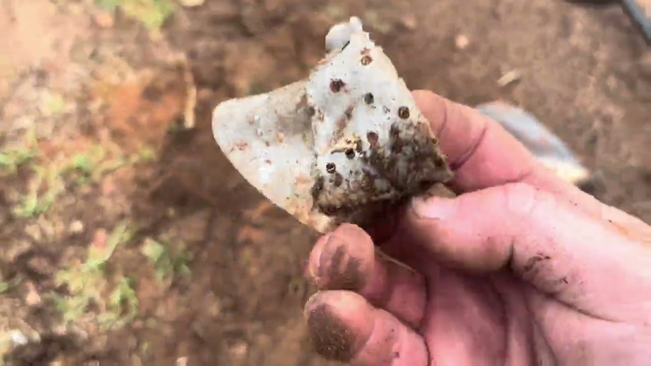 Manticore detecting is not always rainbows and lollipops 