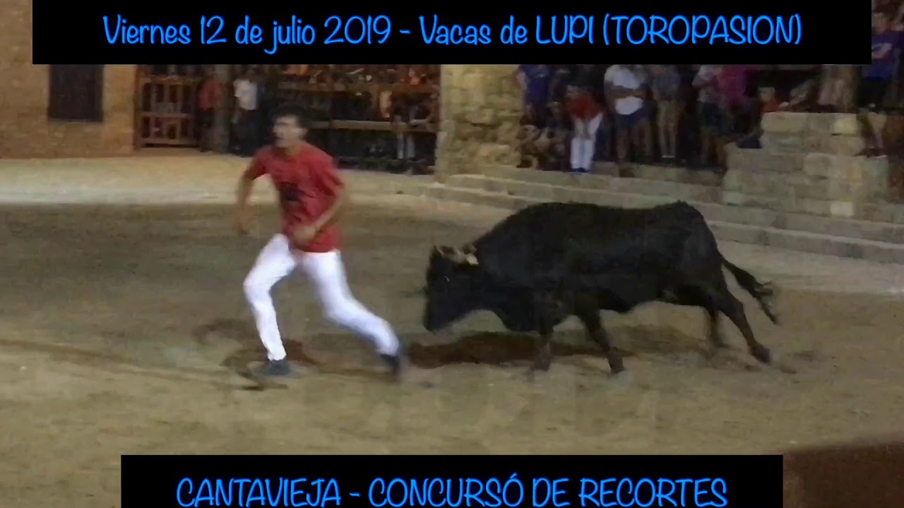 Cantavieja - 12 de julio 2019 - Concurso de Recortes - YouTube
