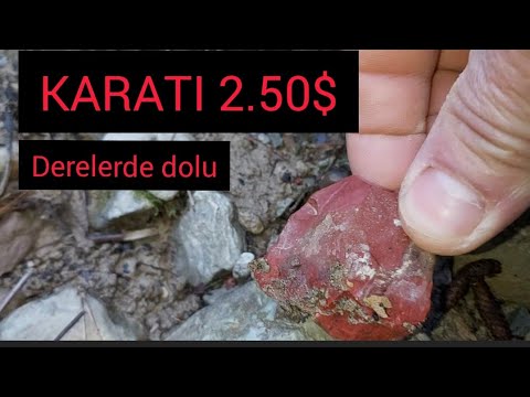 KARATI 2.50$ TURKIYE'DE DERELERDE KİLOLARCA VAR!