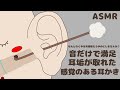 耳垢が取れた感覚のある耳かき｜本当に掃除されたみたいなDeep Ear Cleaning｜No Talking