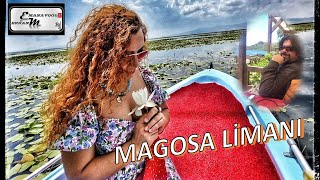 MAGOSA (MAĞUSA) LİMANI | NURDAN İPEK AKUŞ | ERKAN MANAVOĞLU Resimi