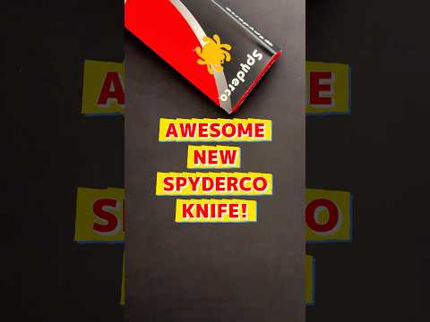 Spyderco Just Made the Perfect Shorts Knife!