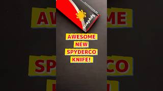 Spyderco Just Made the Perfect Shorts Knife! #edcknife #knifereview
