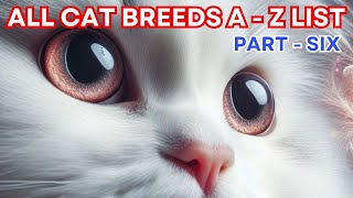 Cat Breeds Guide A  Z  List ( PART  6) #catbreeds #cats