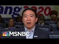 Andrew Yang Explains His Healthcare Plan | All In | MSNBC