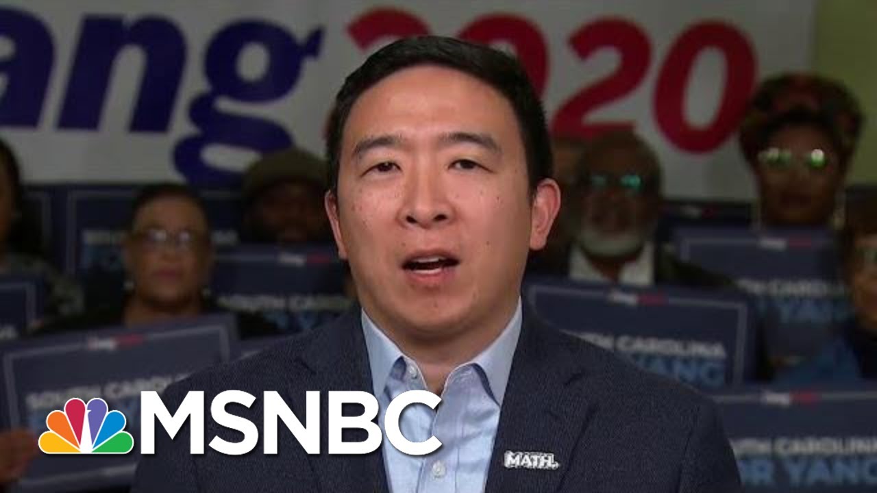 Andrew Yang Explains His Healthcare Plan | All In | MSNBC