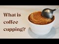 What is coffee cupping