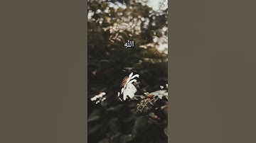 لا جرم انما تدعونني اليه ليس له دعوة في الدنيا ولا في الاخرة تلاوة للقارئ خالد الجليل سورة غافر {٤٣}